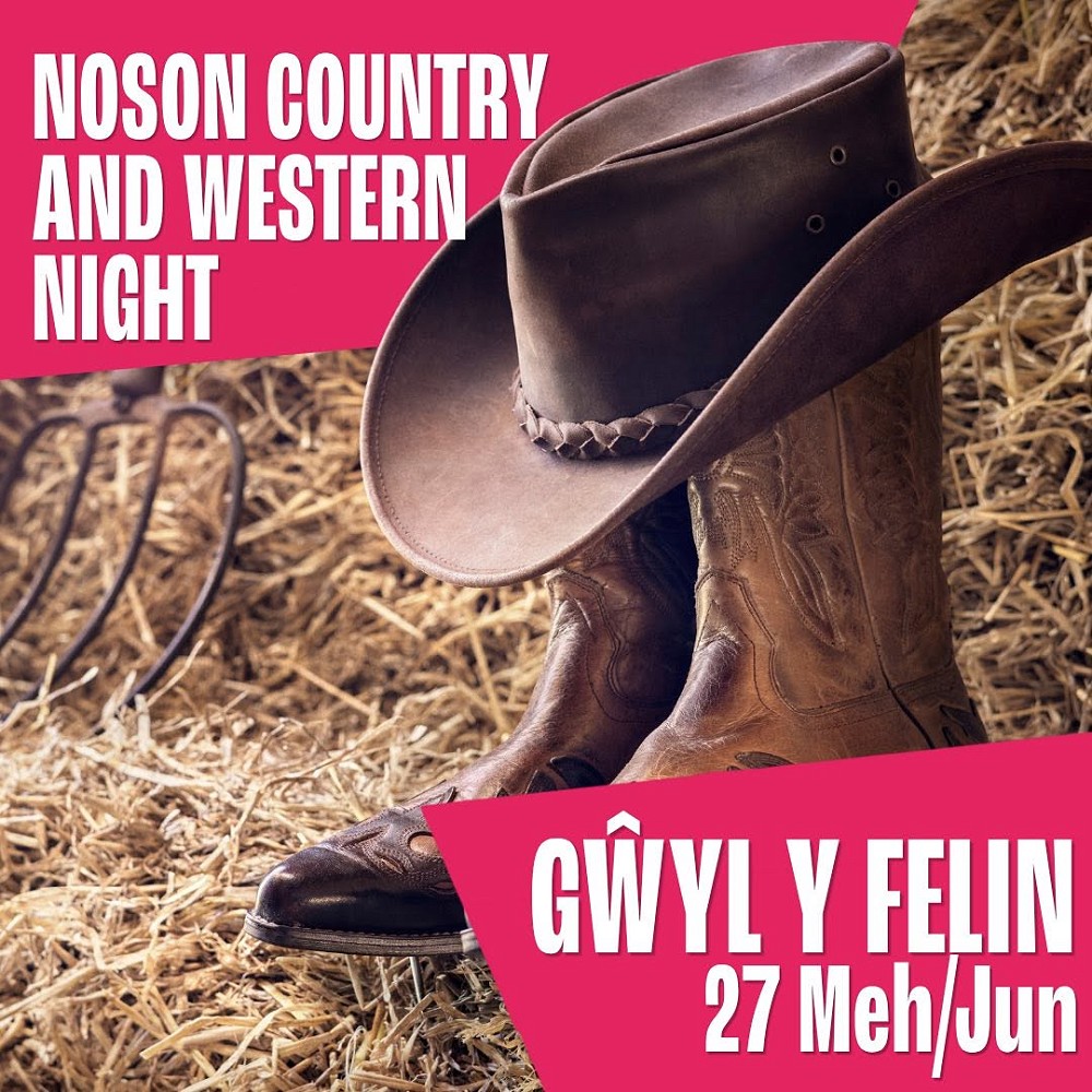Country and Western Night poster by Gwyl Felin