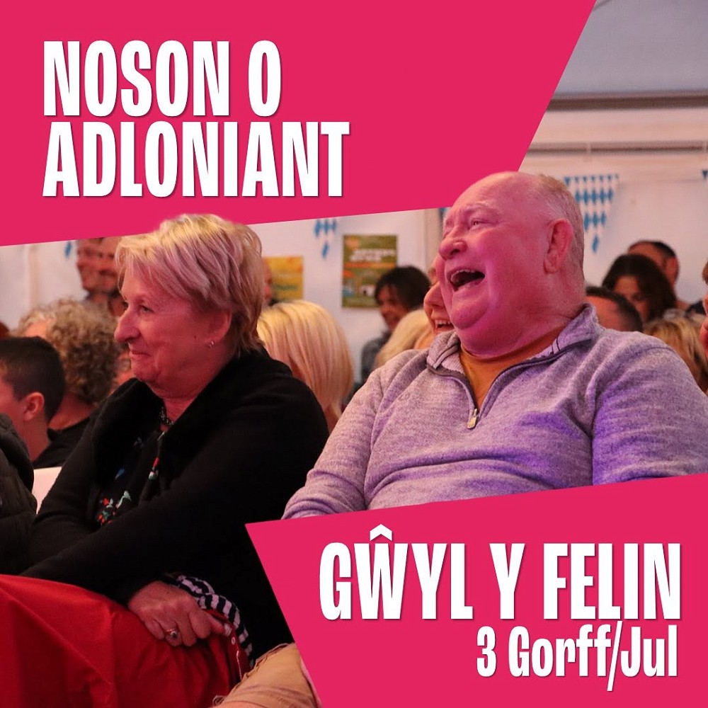 Noson o Adloniant Poster by Gwyl Felin
